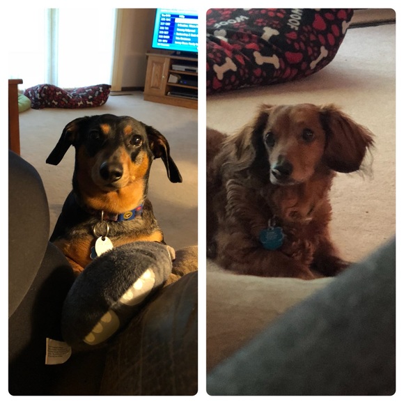 Meet your Posher, Kara - Picture 2 of 3